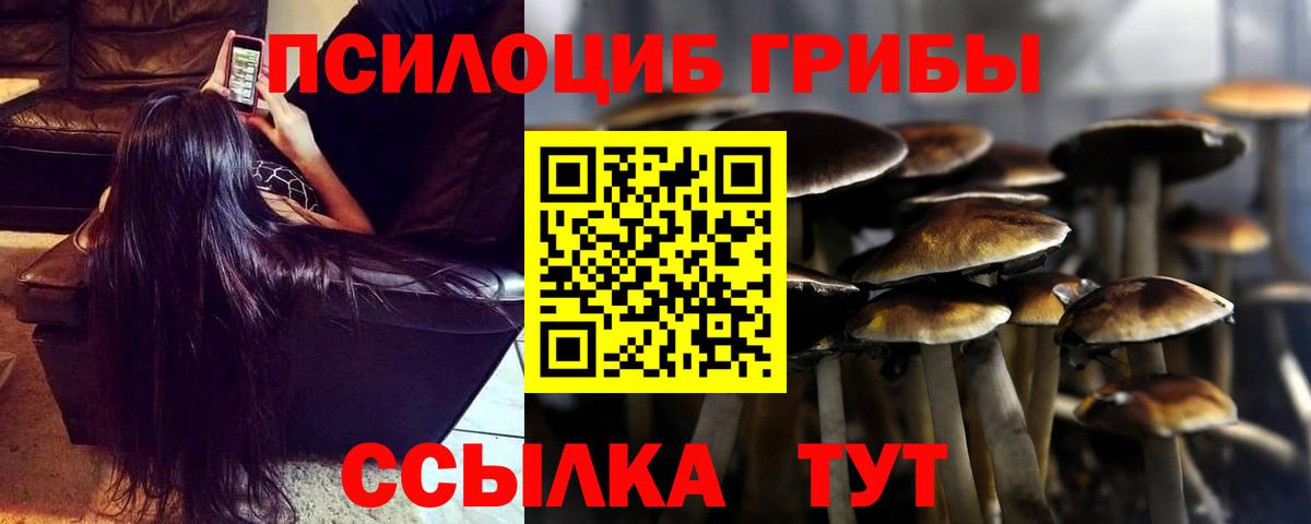 Псилоцибиновые грибы мицелий Чусовой